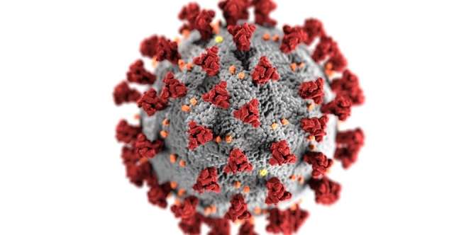 Peneliti China Klaim Virus Covid-19 Berasal dari India, Bukan Wuhan