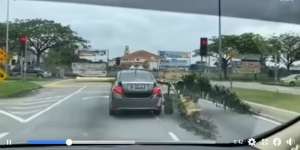 Tembus Jendela Penumpang, Sedan `Disiksa` Angkut Sebatang Pohon Pisang Utuh