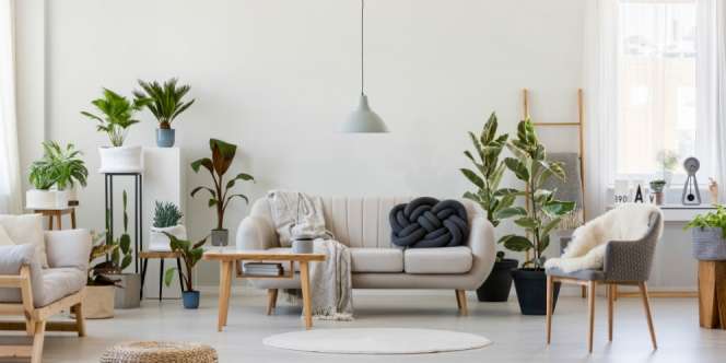 Cara Hemat Energi Bikin Rumah Terasa Sejuk