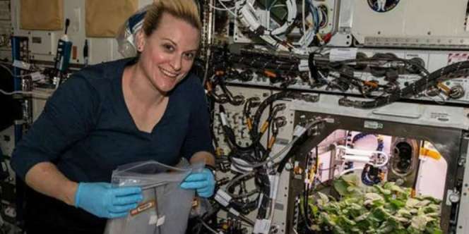Keren, Tim Astronot NASA Panen Lobak di Luar Angkasa