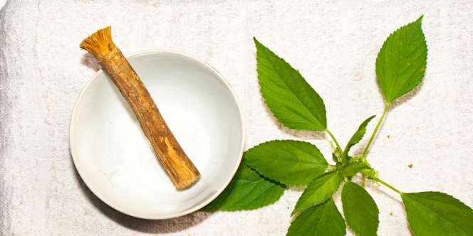 Selain Teladani Nabi, Ini 3 Keutamaan Pasta Gigi Berbahan Siwak