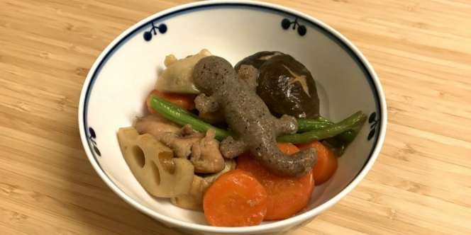 Makanan Mirip Cicak Bikin Heboh dan Penasaran