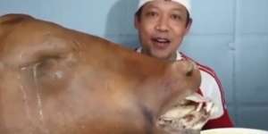 Viral Pria Ini Santap Cingur Langsung dari Hidung Kepala Sapi Utuh
