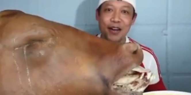 Viral Pria Ini Santap Cingur Langsung dari Hidung Kepala Sapi Utuh
