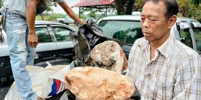 Wow! Nelayan Temukan Muntahan Paus Seharga Ratusan Juta