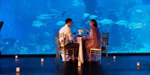 Potret Sensasi Makan Malam Romantis di Bawah Laut, Seru!