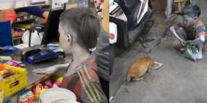 Kisah Bocah Silver Berhati Emas, Sisihkan Uang untuk Kucing Kucing