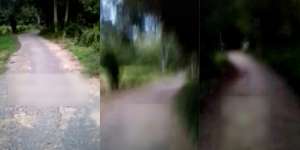 Ibu Antar Anak Mengaji, Saat di Jalan Lihat Sosok Putih Lompat Mirip Pocong