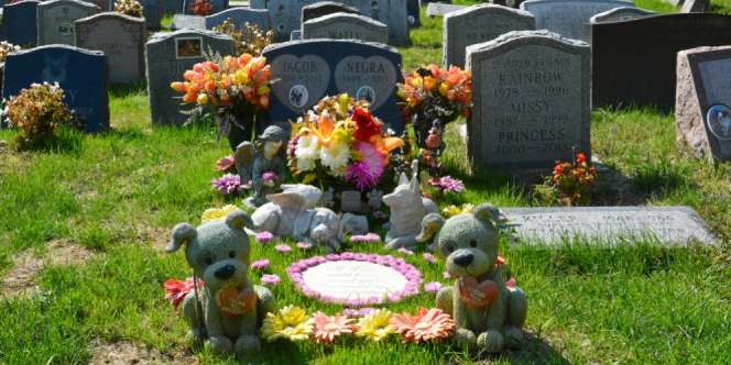 Niatnya Berbagi Momen Sedih Pemakaman Sahabat, Selebgram Banjir Cercaan