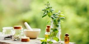 Manfaat Peppermint Oil pada Skincare untuk Kesehatan Kulit