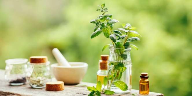 Manfaat Peppermint Oil pada Skincare untuk Kesehatan Kulit