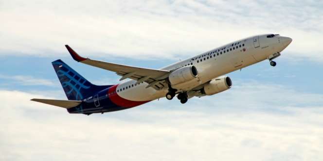 Spesifikasi Boeing 737-500, Pesawat Sriwijaya Air SJ-182 yang Jatuh