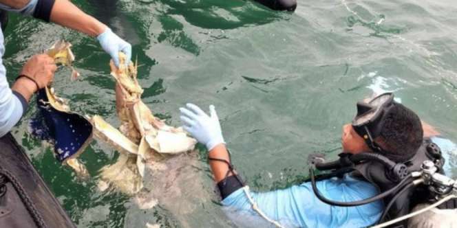 Tim Kopaska Temukan Bagian Tubuh di Bawah Laut, Diduga Penumpang Sriwijaya Air