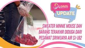 Sweater Minnie Mouse dan Serpihan Diduga Pesawat Sriwijaya Air