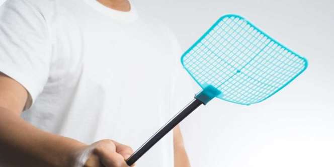 Cara Aman dan Alami Singkirkan Lalat yang Memenuhi Rumah