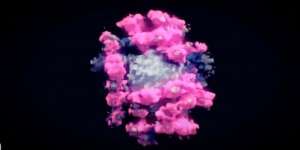 Seram! Ini Wujud Virus Corona dalam Format 3D