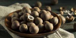 Kenalan dengan Coquitos, Kelapa Terkecil di Dunia