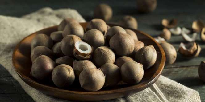 Kenalan dengan Coquitos, Kelapa Terkecil di Dunia