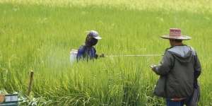 Anak Petani Berubah Jadi Miliarder Gara-gara Temukan Kincir Angin