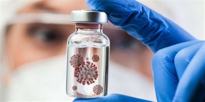 Virus Nipah Ancaman Baru Asia: Ini Gejala, Masa Inkubasi, dan Pengobatannya