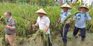 Ngarit dan Nyemplung Sawah, Begini Aktivitas Setya Novanto Selama Jadi Napi
