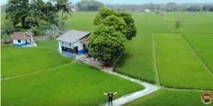 Penampakan Warung Makan Satu-Satunya di Tengah Sawah