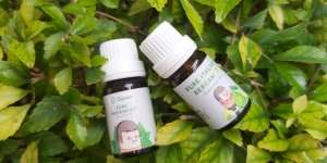 Review Essential Oil: Bau Tak Menyengat, Napas Jadi Plong