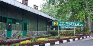PTPN Tegaskan Pemilik HGU Gunung Mas, Termasuk Lahan Markaz FPI?