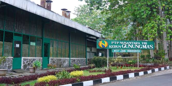PTPN Tegaskan Pemilik HGU Gunung Mas, Termasuk Lahan Markaz FPI?