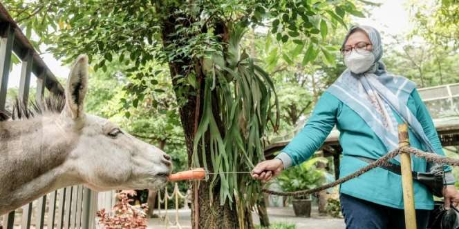 Menparekraf Ajak 50 Nakes Berwisata Melepas Penat
