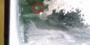 Anjing Terus-terusan Menggonggong, CCTV Rekam Penampakan Bayangan Putih