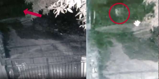 Warga Jeneponto Heboh, Penampakan Pocong Lompat-lompat Ketakutan Dikejar Anjing