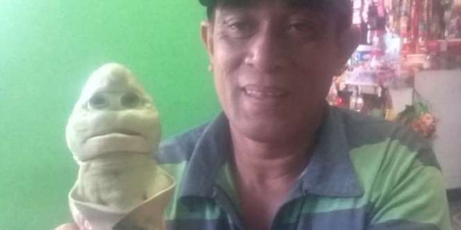 Heboh Nelayan NTT Tangkap Hiu Berwajah Mirip Manusia
