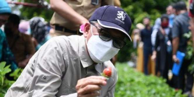 Gubernur Sulsel Nurdin Abdullah Tersangka Suap, Ini Kata Istana