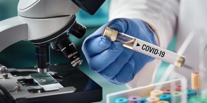 Antibodi Penyintas Covid-19 Bisa Lindungi Hingga 6 Bulan