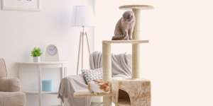 Beragam DIY Cat Tree yang Bakal Bikin Kucing Kesayangan Happy