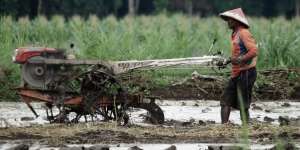 Mentan Gandeng Mendikbud Cetak 2,5 Juta Petani Kekinian