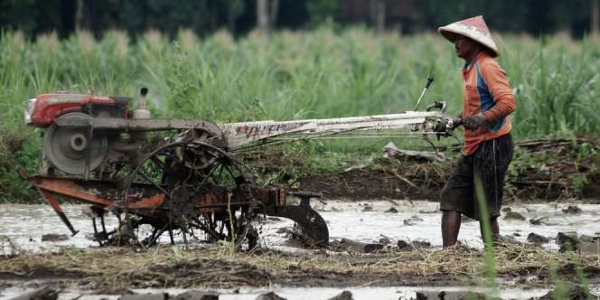 Mentan Gandeng Mendikbud Cetak 2,5 Juta Petani Kekinian