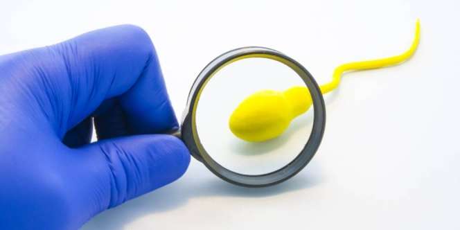 #DreamTestPack, Dokter Ungkap Fakta Soal 'Sperma Encer'