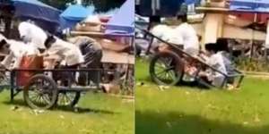 Video Polah Bocah Sholat di Atas Gerobak, Bukan Khusyu tapi Berakhir Ribet