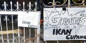 Ada Ikan Cupang Gratis, Setelah Dilihat Seksama Netizen Ngakak dan Sebal!
