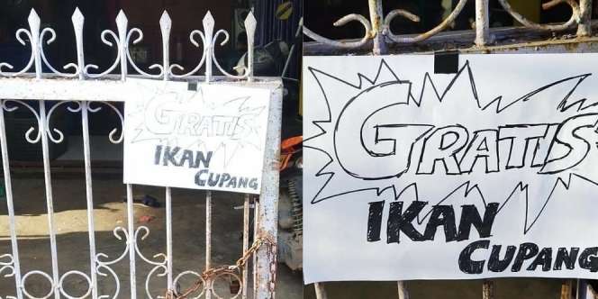 Ada Ikan Cupang Gratis, Setelah Dilihat Seksama Netizen Ngakak dan Sebal!