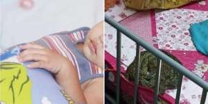 Niat Ganti Baju Anak Lagi Tidur, Ibu Kaget Ada Ular Piton Melingkar di Pundak