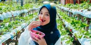 4 Manfaat Mengonsumsi Stroberi Secara Rutin