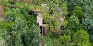 Uniknya Rumah 'Langsing' di Tengah Hutan