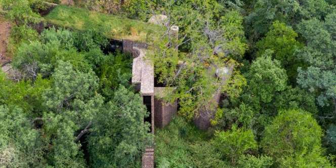 Uniknya Rumah 'Langsing' di Tengah Hutan