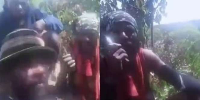 Viral KKB Papua Kelaparan dan Ingin Menyerah