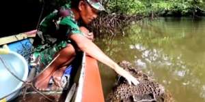 14 Tahun Kisah Persahabatan Pria dan Buaya Muara
