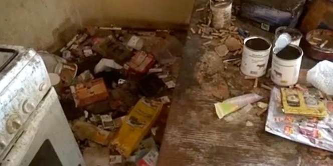 Pilu! Ditelantarkan Ibunya, Anak 5 Tahun Tinggal Bersama 19 Kucing