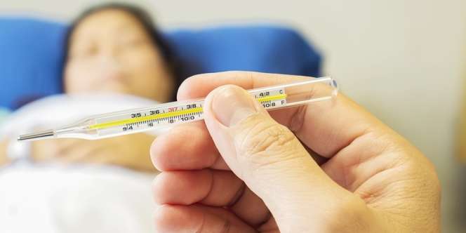 10 Manfaat Daun Pepaya Jepang untuk Kesehatan, Bisa Pulihkan DB